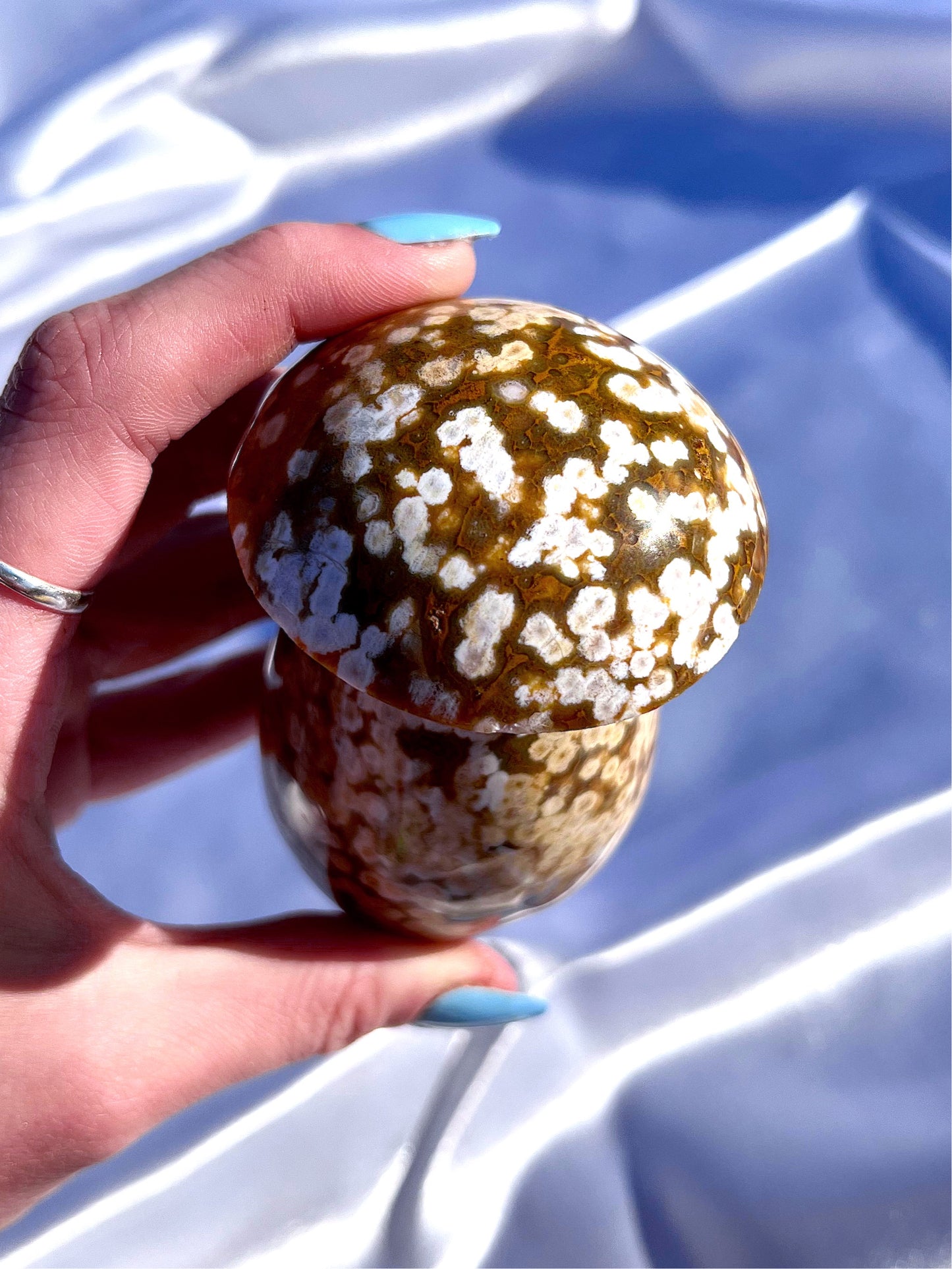 Ocean Jasper Mushroom 3