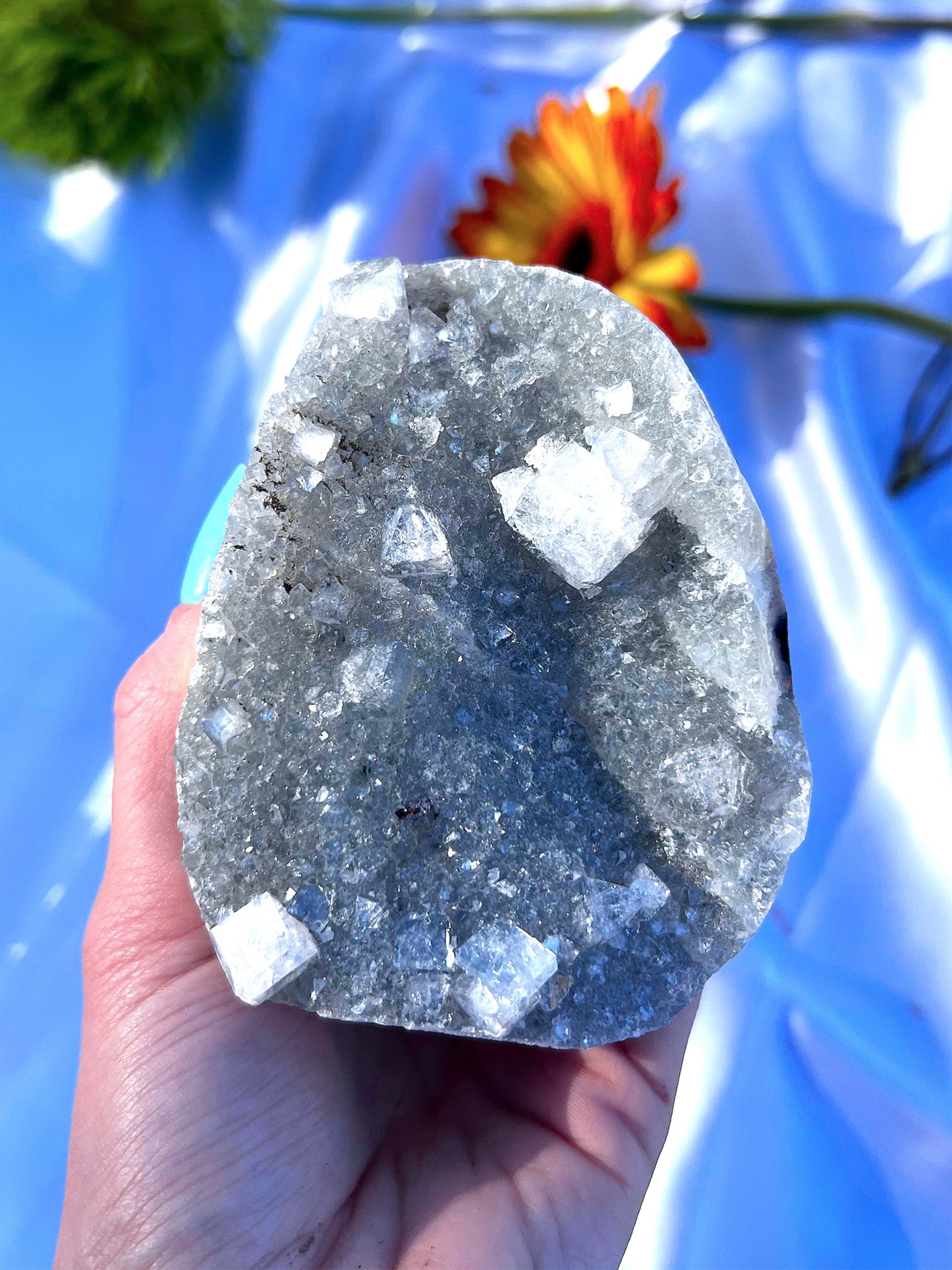 Black Chalcedony Specimen 3