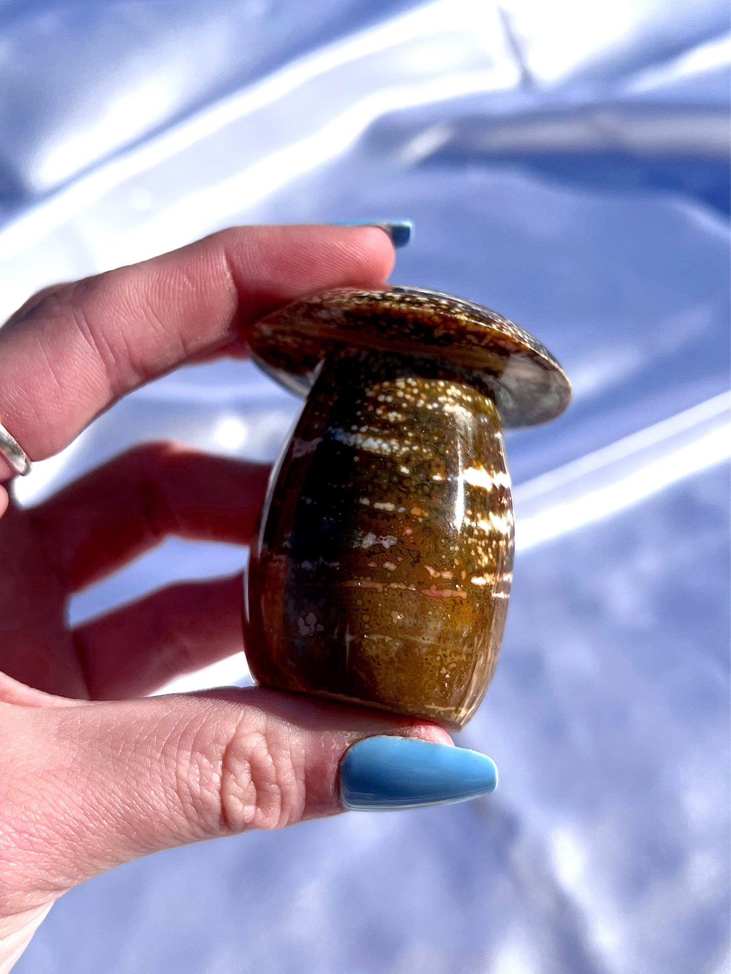 Ocean Jasper Muhsroom 4