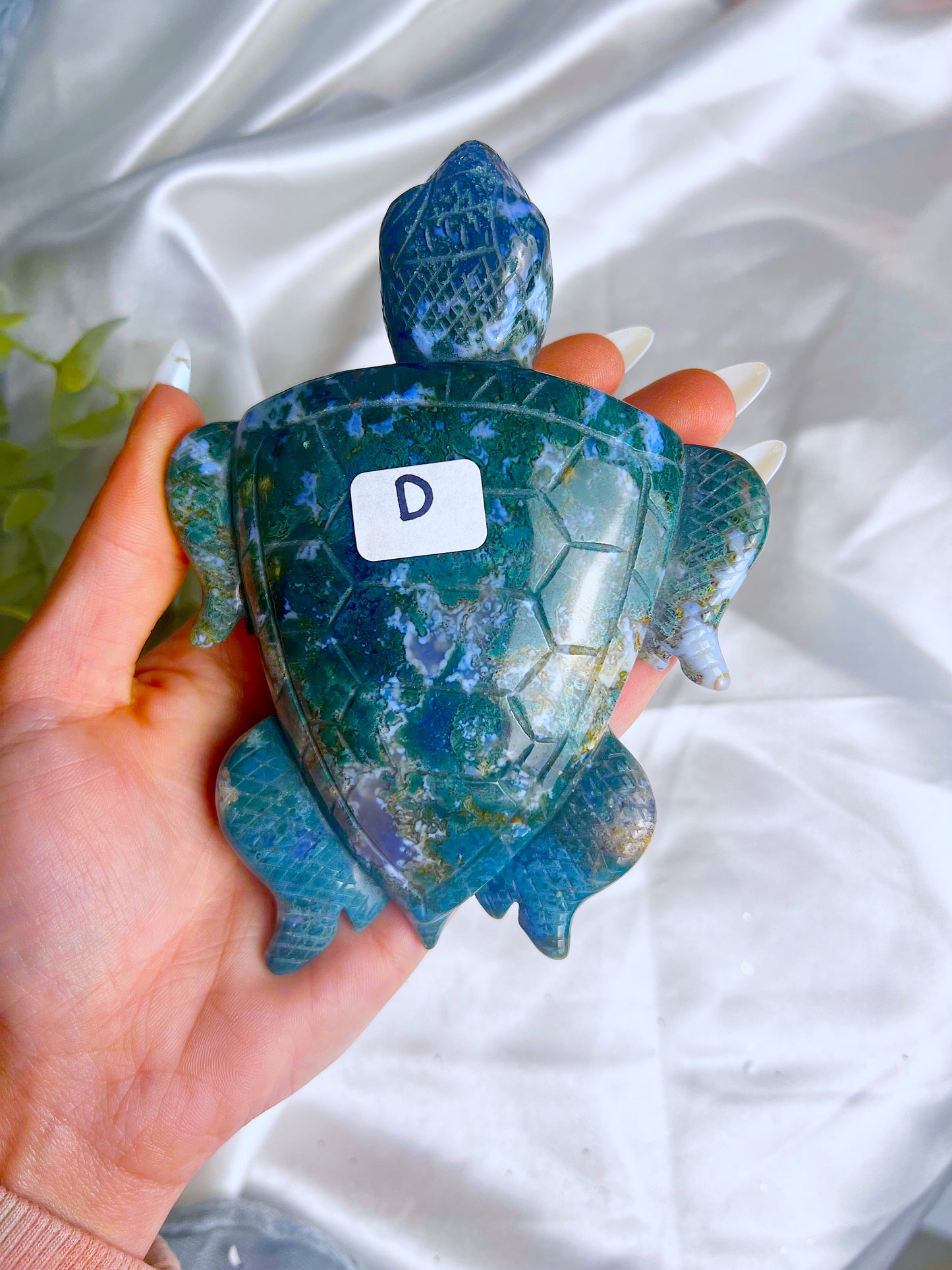 Moss Agate Sea Turtle D