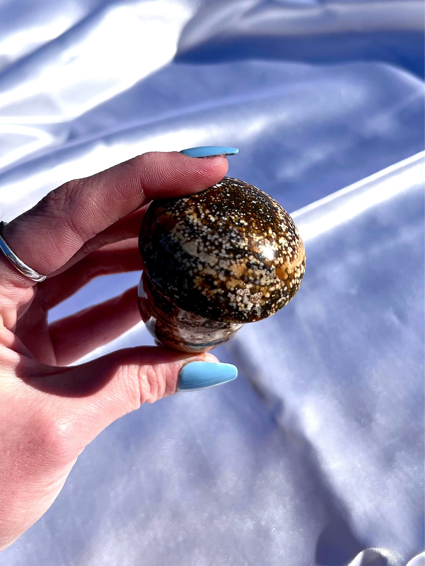 Ocean Jasper Muhsroom 4