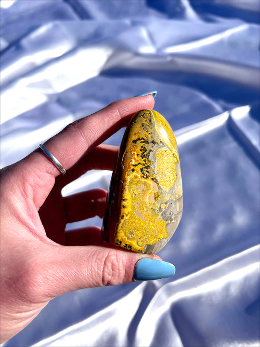 Bumblebee Jasper Freeform