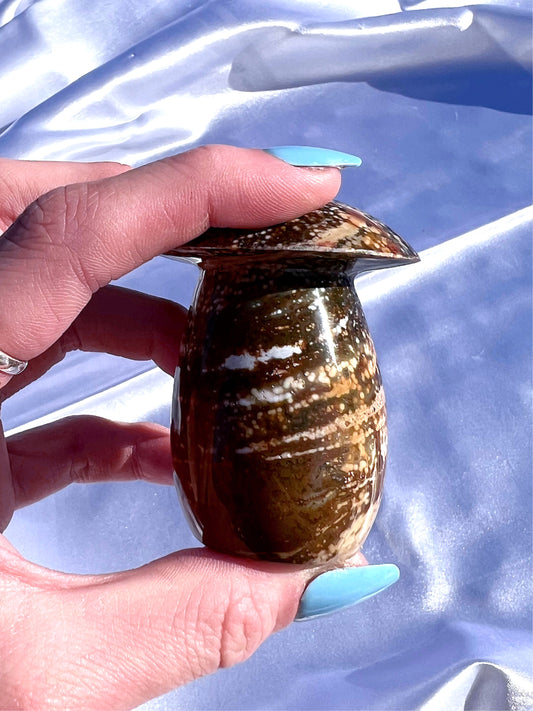 Ocean Jasper Muhsroom 4